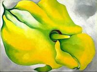 O Keeffe, Georgia - Yellow Calla